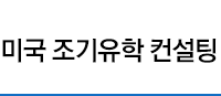 미국 조기유학 컨설팅