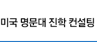 미국 명문대 진학 컨설팅