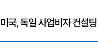 미국, 독일 사업비자 컨설팅